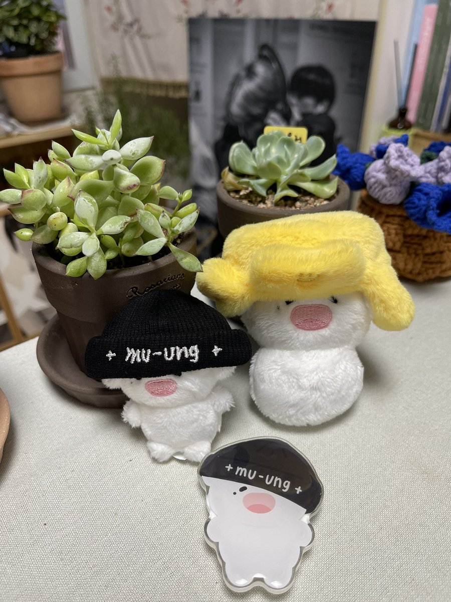 💚에버⁶⁵ tweet media