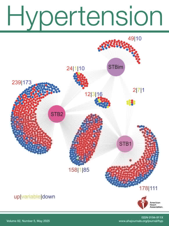 In honor of World Preeclampsia Day (ahajrnls.org/3GfN2Mm), we've dedicated a whole issue to the Advance of Pregnancy Hypertension!
ahajrnls.org/3Y0ZSnR. Make sure to check it out today!