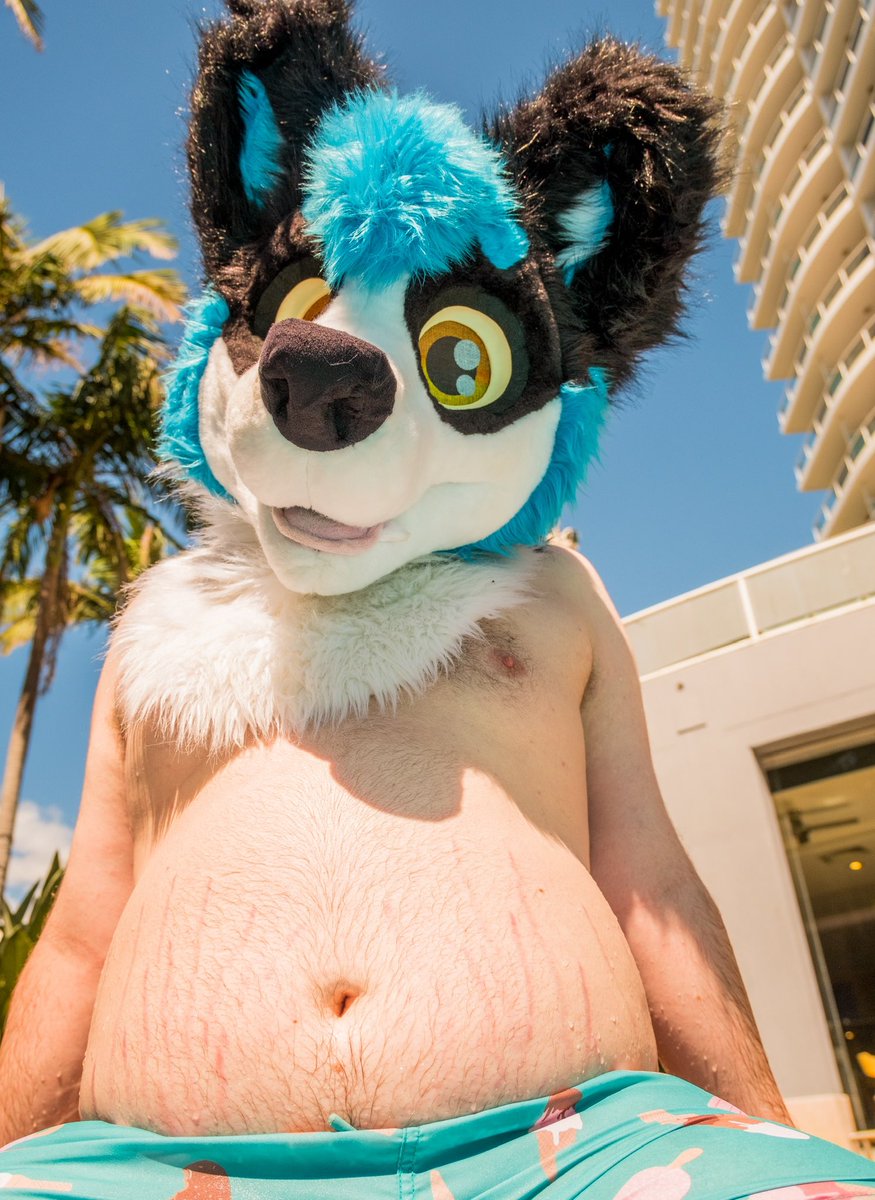 ShadowRK9 (@_shadowrk9) on Twitter photo Itโs warm out, come join me for a swim~ #TummyTuesday
๐ธ - <a href="/Blurbbub/">Slothy ๐ Prov, Aurawra '25</a>
#fursuit #furry Itโs warm out, come join me for a swim~ #TummyTuesday
๐ธ - <a href="/Blurbbub/">Slothy ๐ Prov, Aurawra '25</a>
#fursuit #furry