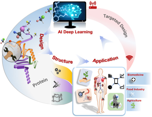 AI reshapes fibrous protein design! Optimizes materials, tackles biomed gaps. New horizons in biotech. #ProteinEngineering #AIProteomics #BioMaterialInnovation
Details: doi.org/10.1016/j.bide…
