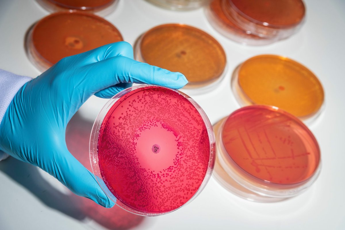 Invest Liverpool (@investliverpool) on Twitter photo Liverpool City Region is set to become a global leader in microbiome innovation!
Over £1m will back a new Microbiome & Infectious Disease Innovation Hub – turning world-leading research into real-world impact.
Read more➡️
investliverpool.com/news/liverpool… <a href="/LivUni/">University of Liverpool</a> Liverpool City Region is set to become a global leader in microbiome innovation!
Over £1m will back a new Microbiome & Infectious Disease Innovation Hub – turning world-leading research into real-world impact.
Read more➡️
investliverpool.com/news/liverpool… <a href="/LivUni/">University of Liverpool</a>