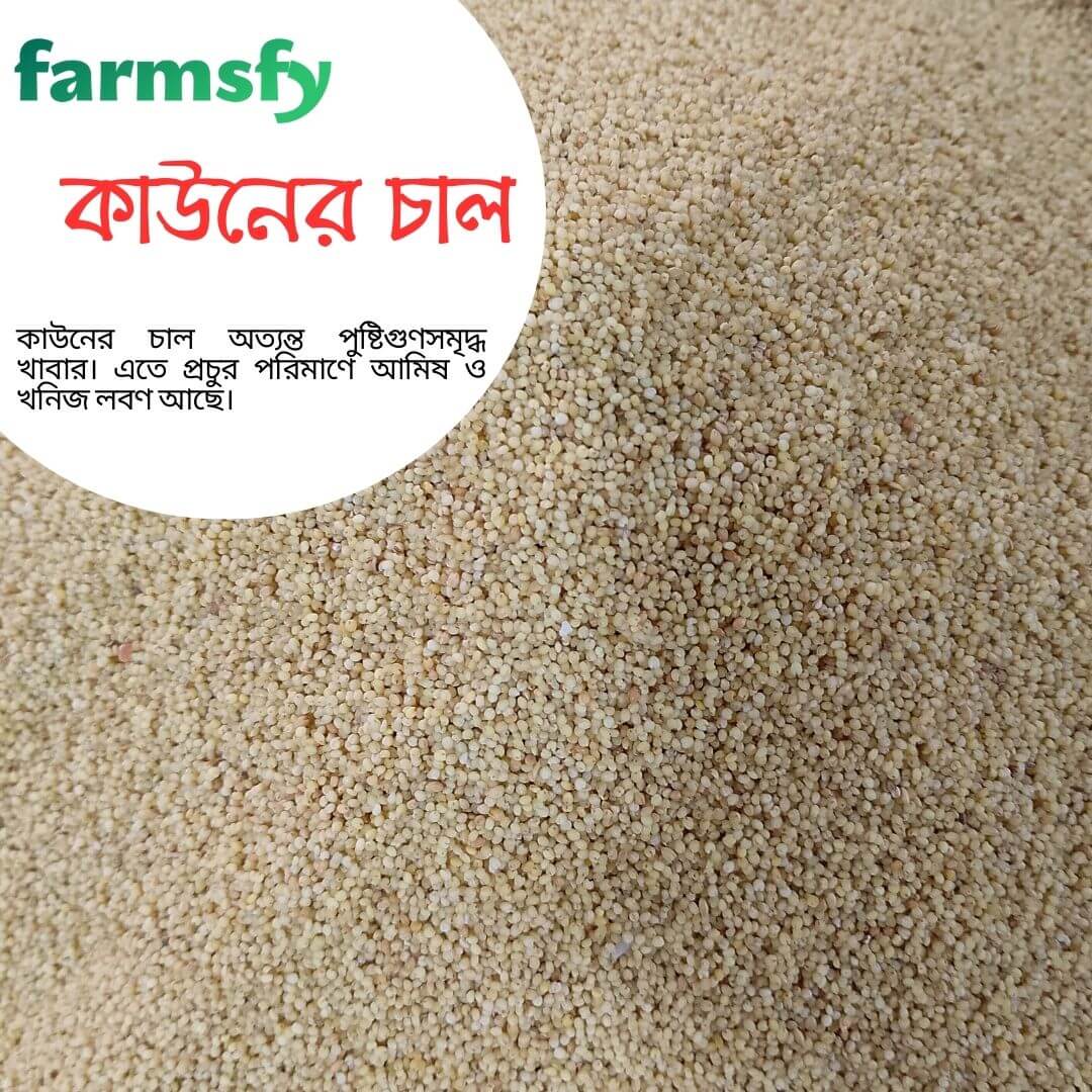 farmsfy's tweet photo. কাউনের চাল অত্যন্ত পুষ্টিগুণসমৃদ্ধ খাবার। এতে প্রচুর পরিমাণে আমিষ ও খনিজ লবণ আছে। এ ছাড়া মেয়েদের সৌন্দয্য ঠিক রাখতে এবং দেহের গঠন, ওজন যাতে না বাড়তে পারে এই জন্য কাউনের চালের রেসিপি প্রতিদিন খাওয়া স্বাস্থ্যের জন্য অনেক ভাল।

#কাউনেরচাল #কাউনেচাল #চাল #farmsfy #ফার্মসফাই https://t.co/cOF15CWAGm