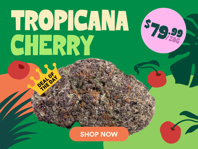 HerbApproach's tweet photo. Tropicana Cherry 28g โ $79.99
Tastes like juice. Hits like judgment day.
๐https://t.co/JwJ2MmLXYY
#HerbApproach #TropiDank https://t.co/W1QQpq6XnQ