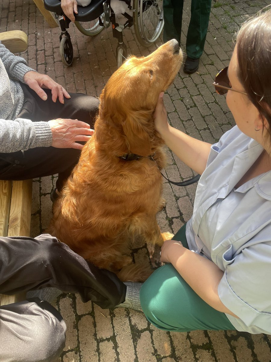 LifeAtStNon's tweet image. Gardening group has started on St Non Ward and the courtyard is starting to look a lot brighter!  We also had lovely visit from our Pet Therapy Team, which gave us a well deserved break from gardening! 🦮🐾🪻🌻