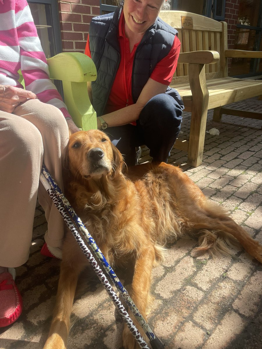 LifeAtStNon's tweet image. Gardening group has started on St Non Ward and the courtyard is starting to look a lot brighter!  We also had lovely visit from our Pet Therapy Team, which gave us a well deserved break from gardening! 🦮🐾🪻🌻