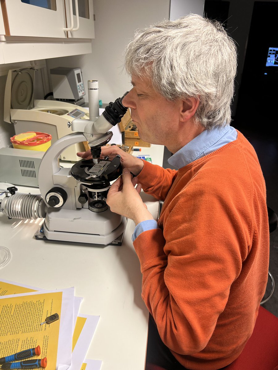 Edna,Xian HU tweet media