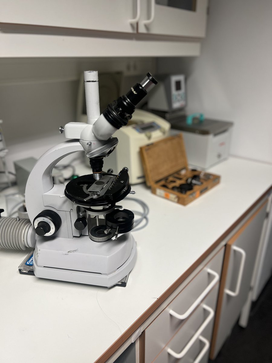 Edna,Xian HU tweet media