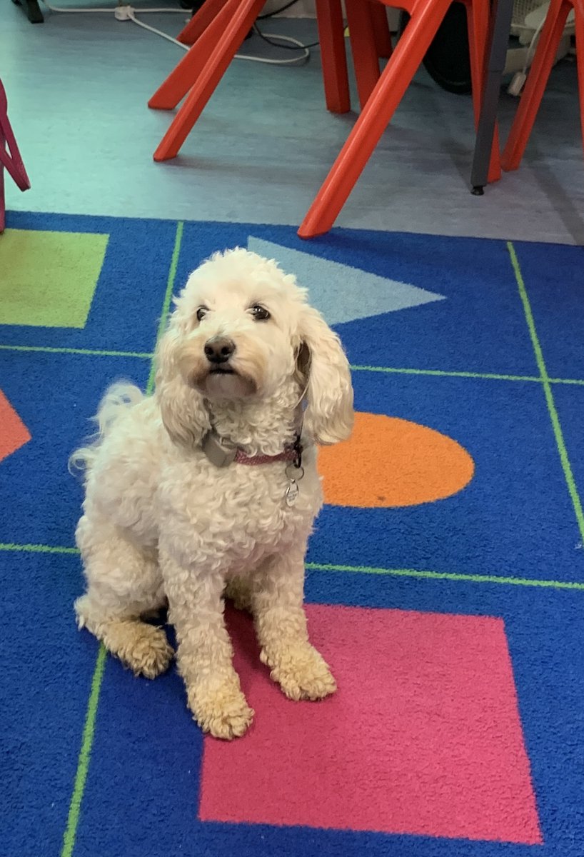 Claire Claydon (@bramblebonnie) on Twitter photo Had a fantastic visit to the PiXL Open Day at Ashby Fields Primary School on May 1st! ๐
Big thanks to Executive Head Rachel Edkins and the Ashby Fields team for an inspiring day with a focus on Inclusion!
#InclusiveEducation #Leadership #PiXLOpenDay <a href="/ashbyfieldsdav/">Ashby Fields</a> <a href="/RachelPiXL/">Rachel Johnson PiXL</a> Had a fantastic visit to the PiXL Open Day at Ashby Fields Primary School on May 1st! ๐
Big thanks to Executive Head Rachel Edkins and the Ashby Fields team for an inspiring day with a focus on Inclusion!
#InclusiveEducation #Leadership #PiXLOpenDay <a href="/ashbyfieldsdav/">Ashby Fields</a> <a href="/RachelPiXL/">Rachel Johnson PiXL</a>