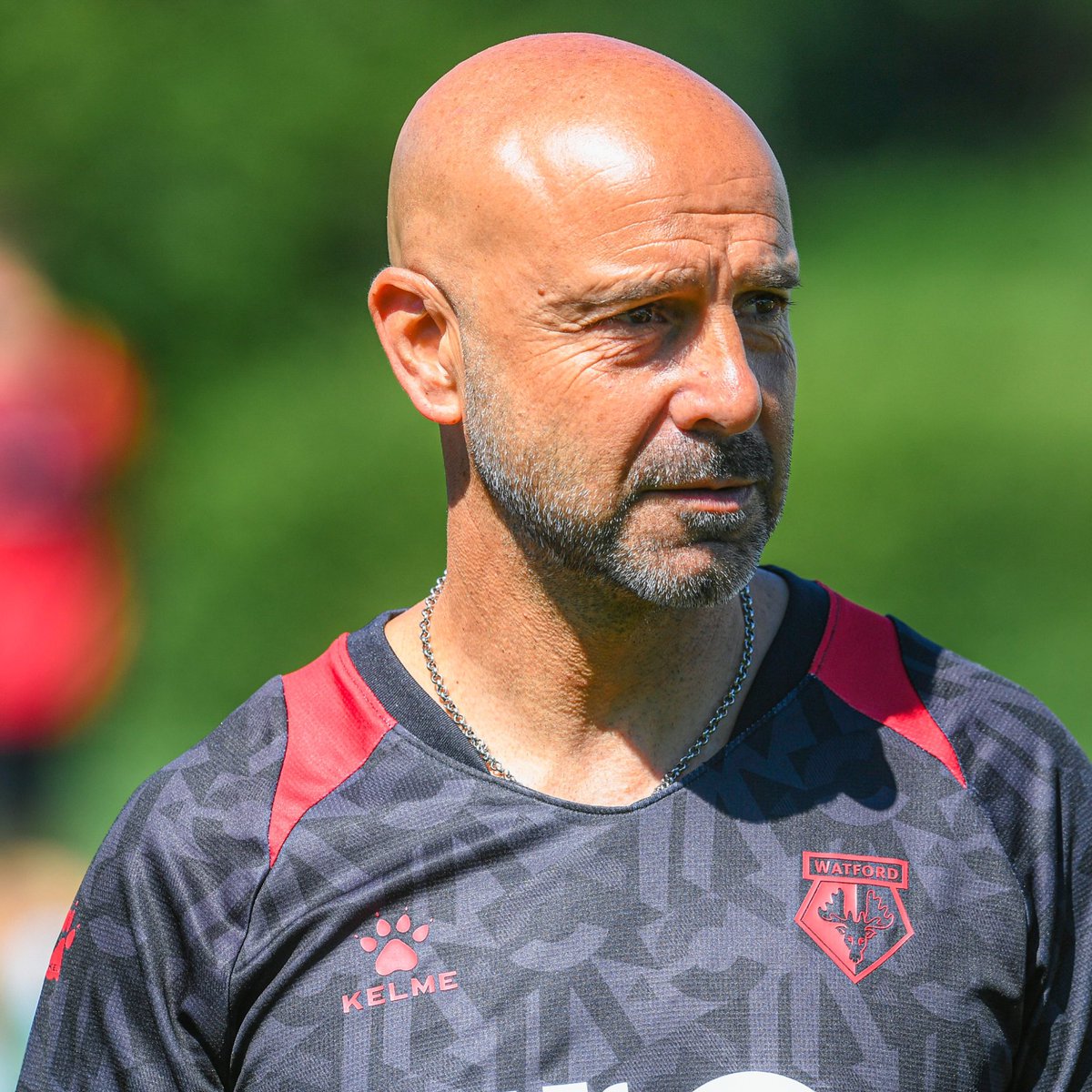 First Team Coach Alberto Garrido has been named the bookies front-runner to replace Cleverley at 5/1, with Gary O’Neil and Sean Dyche close behind at 6/1 and 8/1 respectively.

#watfordfc