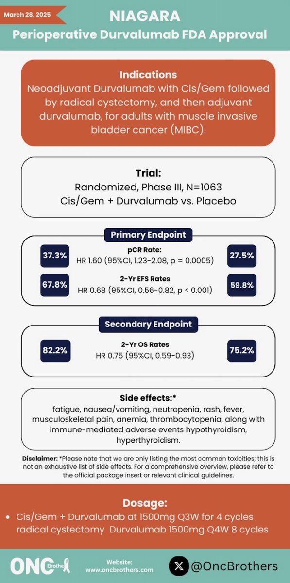Oncology Brothers (@oncbrothers) on Twitter photo One page takeaway from #NIAGARA study that resulted in #durvalumab’s <a href="/FDAOncology/">FDA Oncology</a> approval on March 28, 2025 for resectable muscle invasive #BladderCancer
#OncTwitter #MedTwitter #gusm <a href="/OncoAlert/">OncoAlert</a> <a href="/tompowles1/">Tom Powles</a> One page takeaway from #NIAGARA study that resulted in #durvalumab’s <a href="/FDAOncology/">FDA Oncology</a> approval on March 28, 2025 for resectable muscle invasive #BladderCancer
#OncTwitter #MedTwitter #gusm <a href="/OncoAlert/">OncoAlert</a> <a href="/tompowles1/">Tom Powles</a>