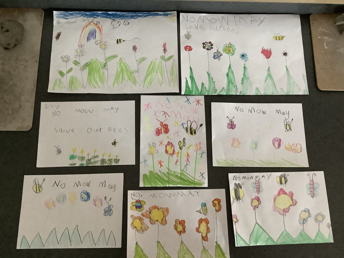 Jess Hoskins (@jhoskinsstannes) on Twitter photo The Busy Bees have been busy creating some beautiful posters for No Mow May! We spoke about the importance of creating and maintaining habitats for our insects ๐ <a href="/BPooleStAnnes/">Becky Poole</a> The Busy Bees have been busy creating some beautiful posters for No Mow May! We spoke about the importance of creating and maintaining habitats for our insects ๐ <a href="/BPooleStAnnes/">Becky Poole</a>