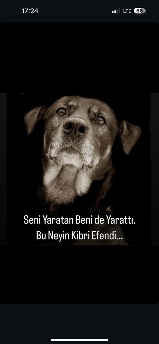 #AYMYasayıİptalEt <a href="/AYMBASKANLIGI/">Anayasa Mahkemesi</a> 
Siz de destek olun hayvanların yaşam hakkını elinden almayın