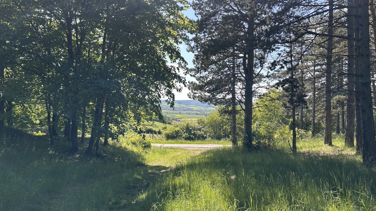 Schlockmaster tweet media