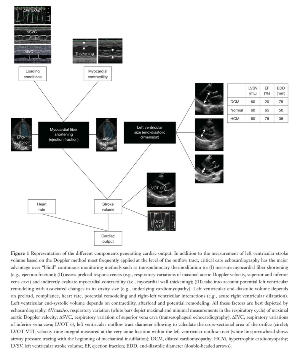 SrivatsaNagachandan tweet media