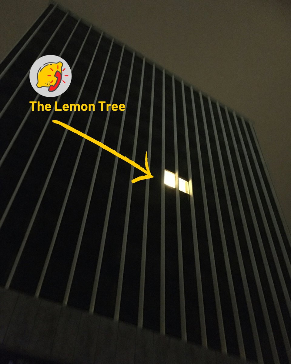 The Lemon Tree Education tweet media