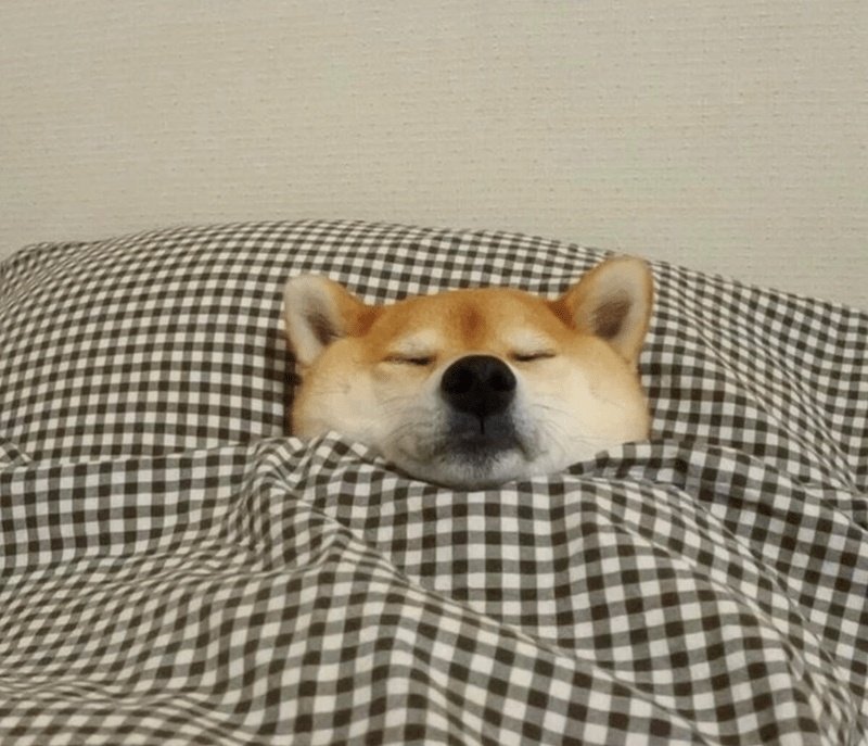 १-४ सायरेन नको वाजवू ब्रो <a href="/narendramodi/">Narendra Modi</a> 

#Pune