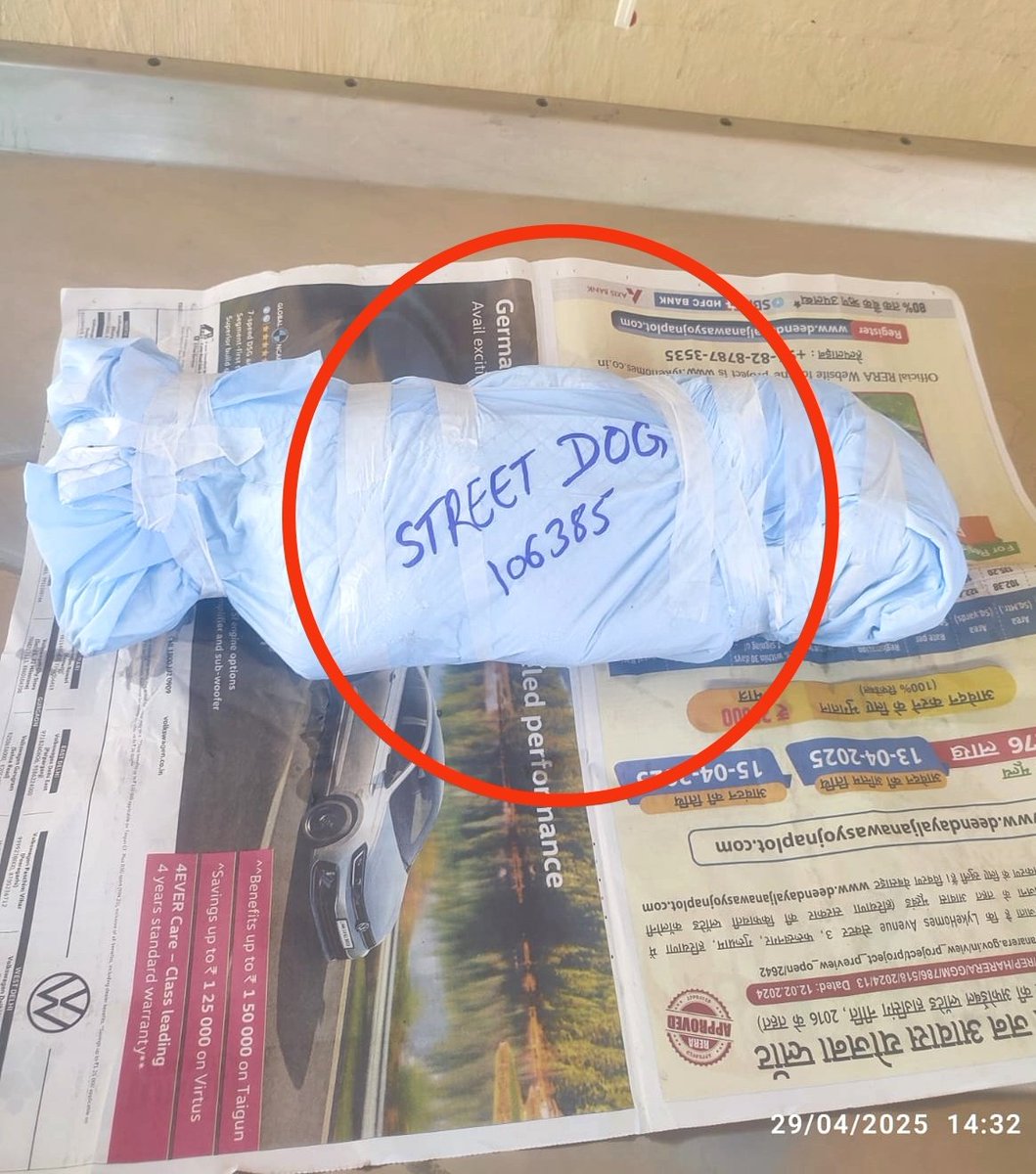 Street Dog Number 106385

Allegedly raped, killed !
Condom retrieved from private part.

I carried this 2.5 month old female girl from hospital to post mortem to burial. It was a heartbreaking journey.

Street Dogs in India are not just a number.

I want to tell you something

1.