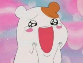 낙차는 문장 하나하나가 너무 맛있었다...