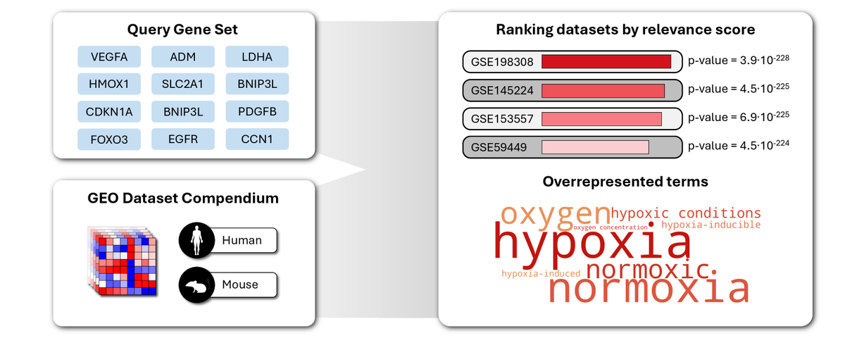 Alexey Sergushichev (@assaron) on Twitter photo I'm happy to present our new web-tool CORESH alserglab.wustl.edu/coresh/ for searching public gene expression datasets using gene signature as a query, developed by <a href="/vd_sukhov/">Vladimir Sukhov</a>, which was just published in @NAR_open doi.org/10.1093/nar/gk… 1/n I'm happy to present our new web-tool CORESH alserglab.wustl.edu/coresh/ for searching public gene expression datasets using gene signature as a query, developed by <a href="/vd_sukhov/">Vladimir Sukhov</a>, which was just published in @NAR_open doi.org/10.1093/nar/gk… 1/n