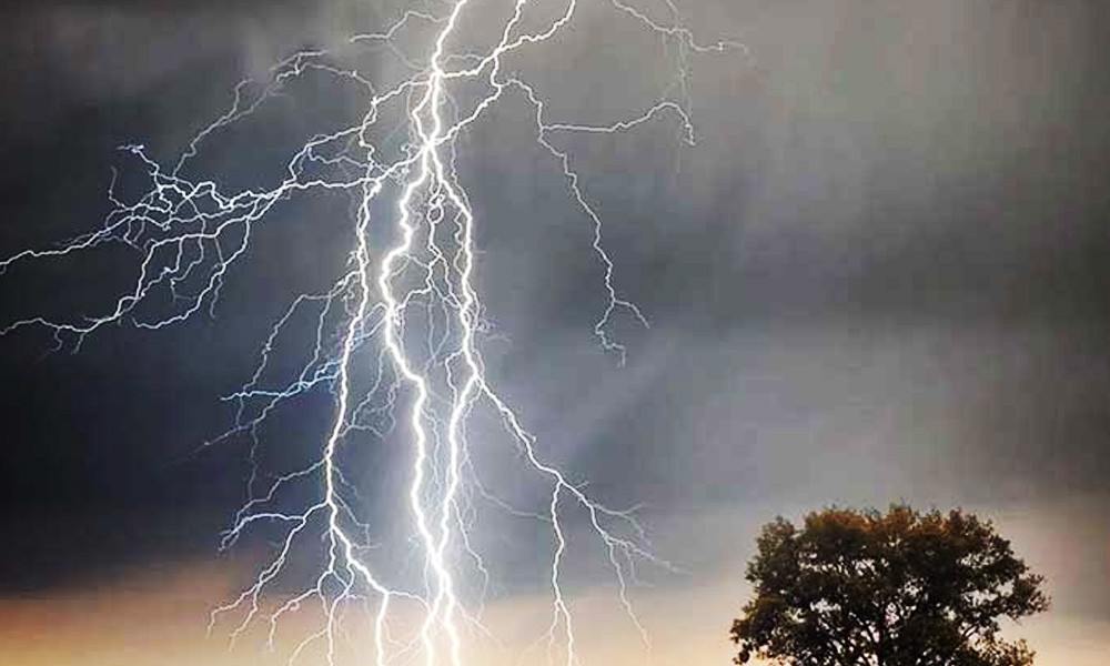 কালীগঞ্জে বজ্রাঘাতে সমন্বয়ক আহত