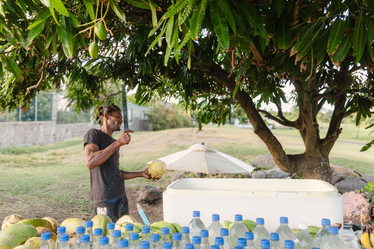Climate impacts could cause GDP per capita in the Caribbean to fall by an avg. of 20% by 2050​.

For St. Kitts and Nevis, impacts are projected to be lower than the regional average but could still significantly affect livelihoods, particularly sectors dominated by outdoor labor.