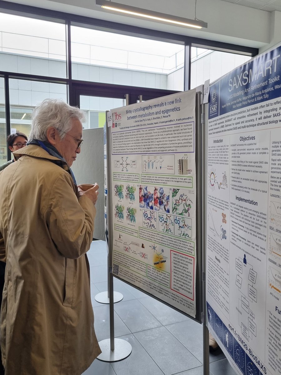 Day two of the 7th International Symposium on Diffraction Structural Biology.

Conferences, presentations, and poster sessions were on the schedule for today. Attendees could pick up important insights into the future of structural biology.