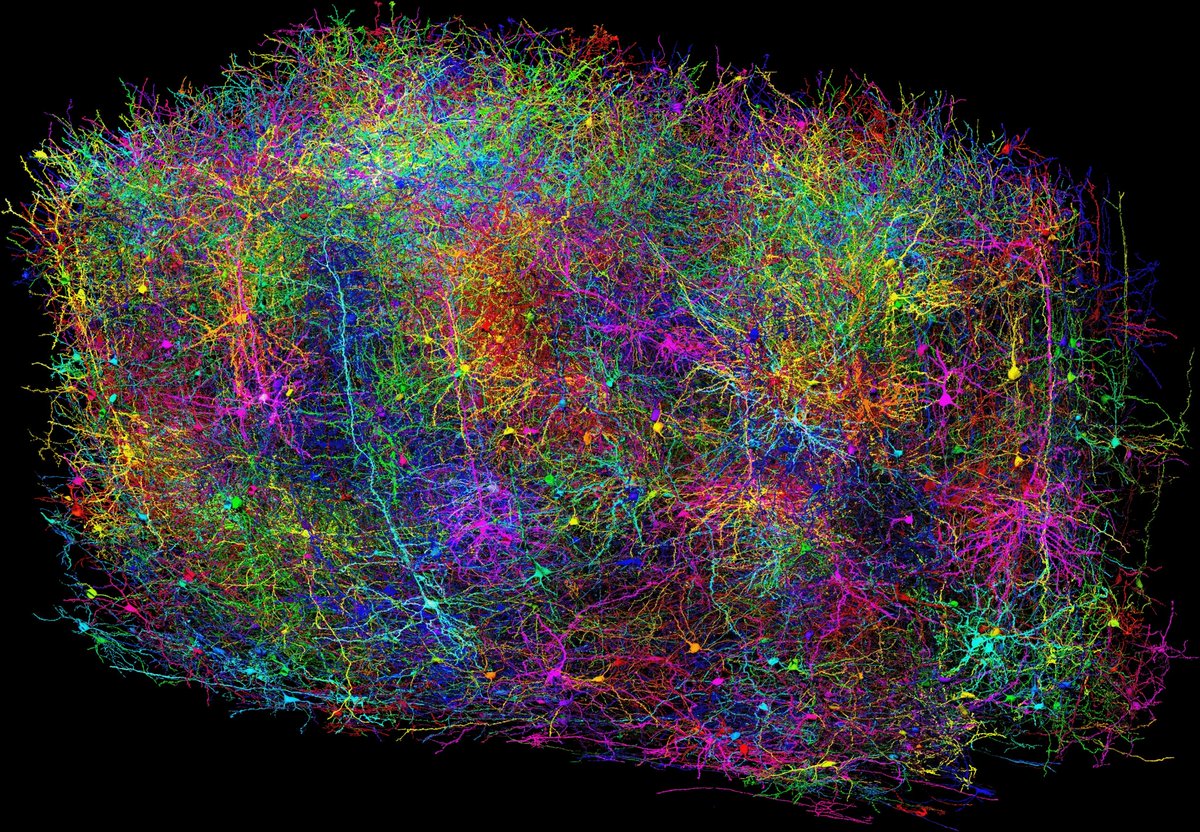 The brain is a galaxy of information.