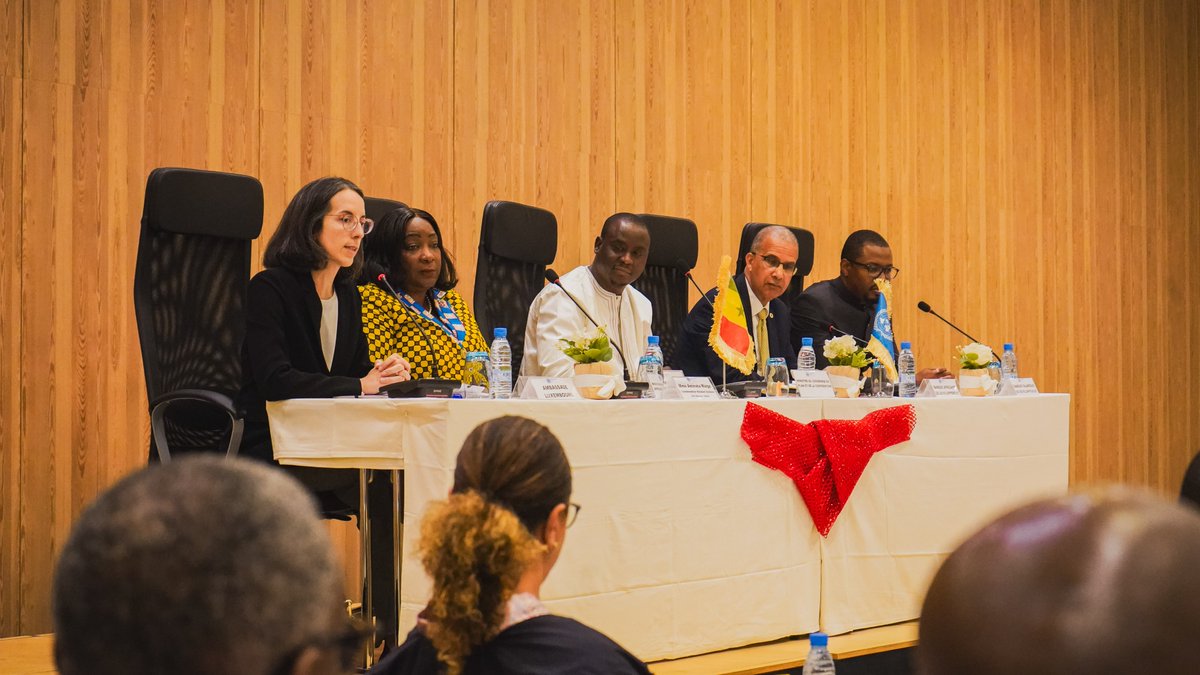 Réflexions autour des défis et opportunités du financement du développement au #Sénégal 🇸🇳.
Quelles synergies entre bailleurs et partenaires afin d’investir davantage dans l’économie📈, le capital humain et la gouvernance ?