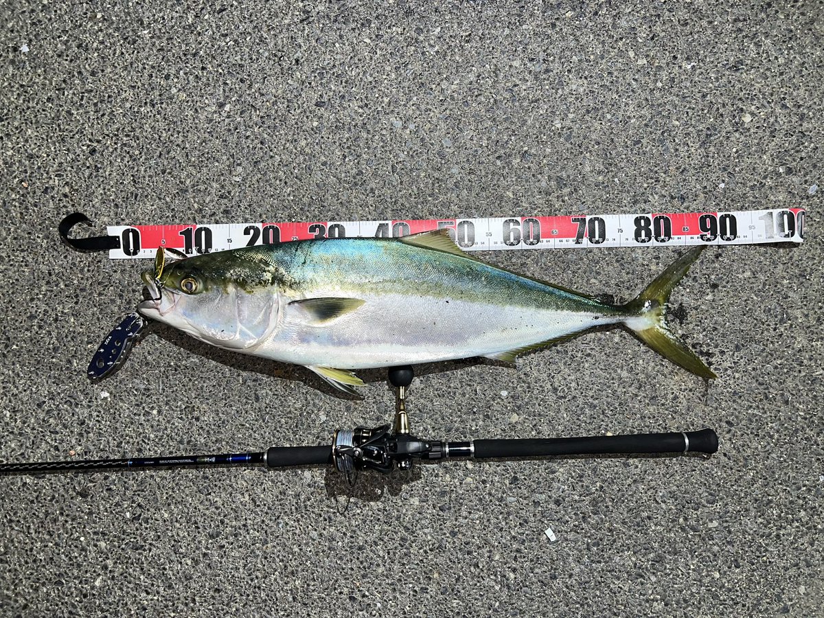 カイン-Kain tweet media