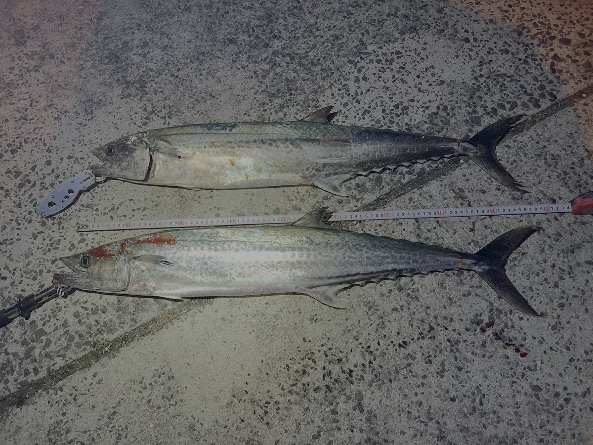 カイン-Kain tweet media