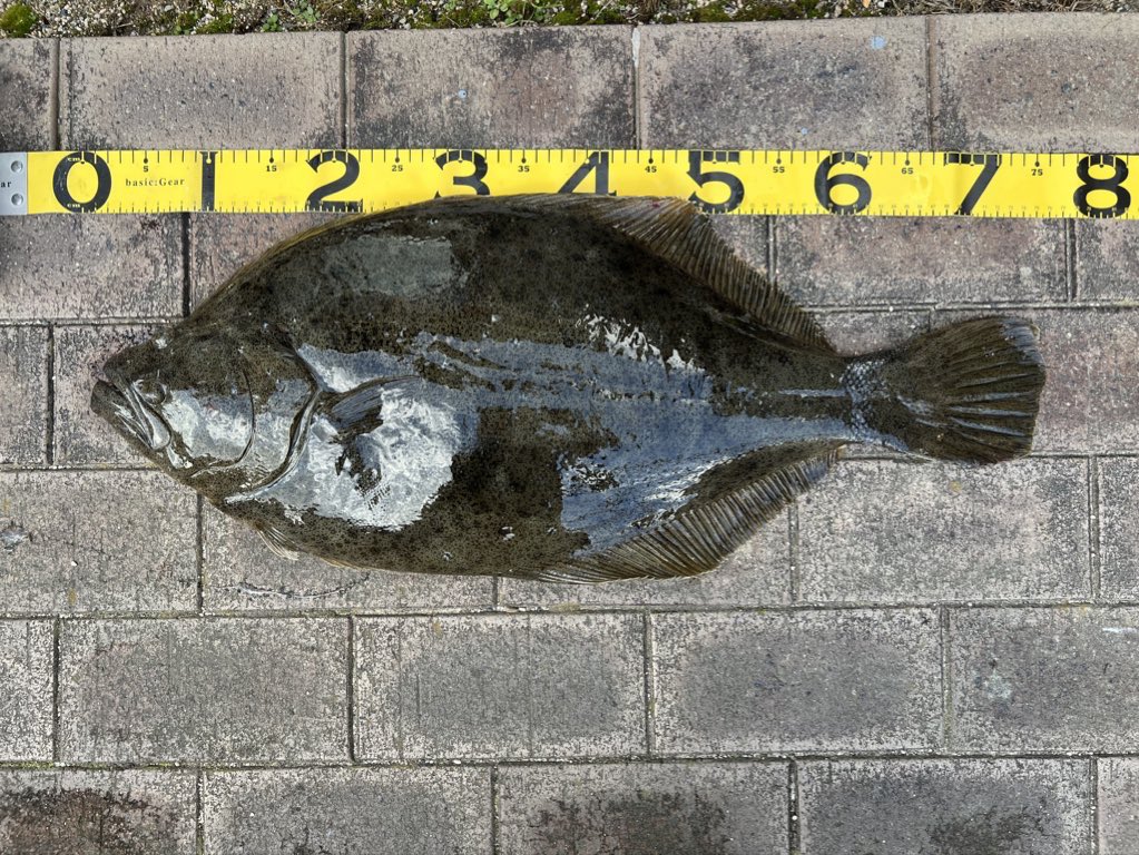 カイン-Kain tweet media