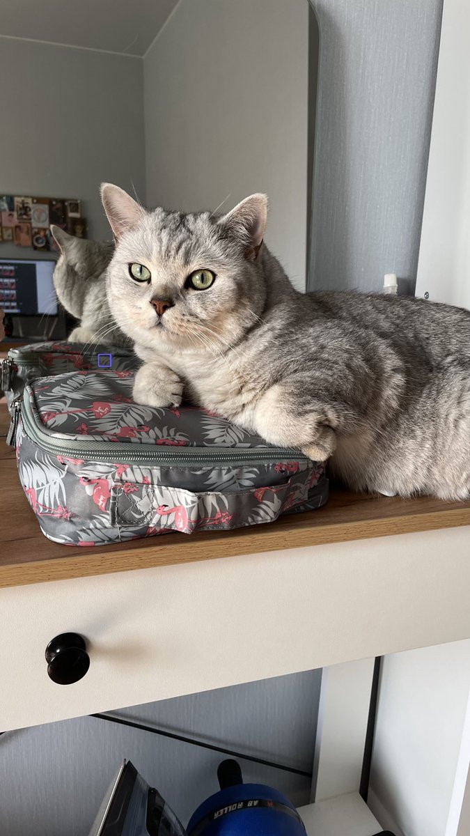 Вы посмотрите на эту диву