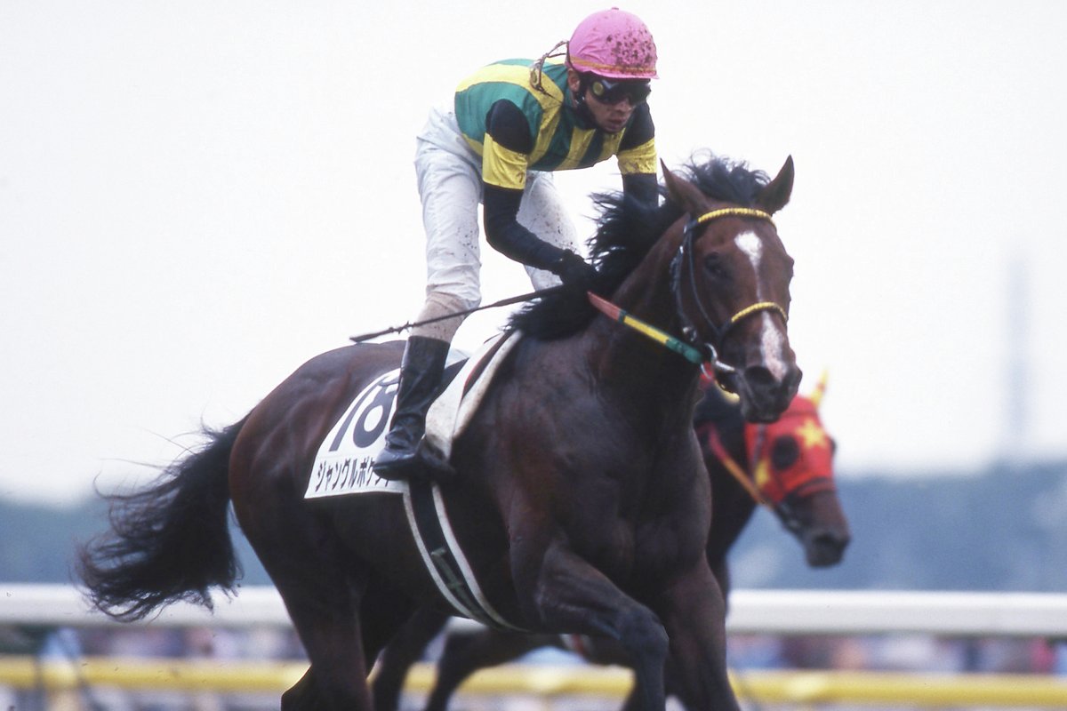 Amazon.co.jp: スポニチ 競馬欄 2001年 一年分 年度代表馬