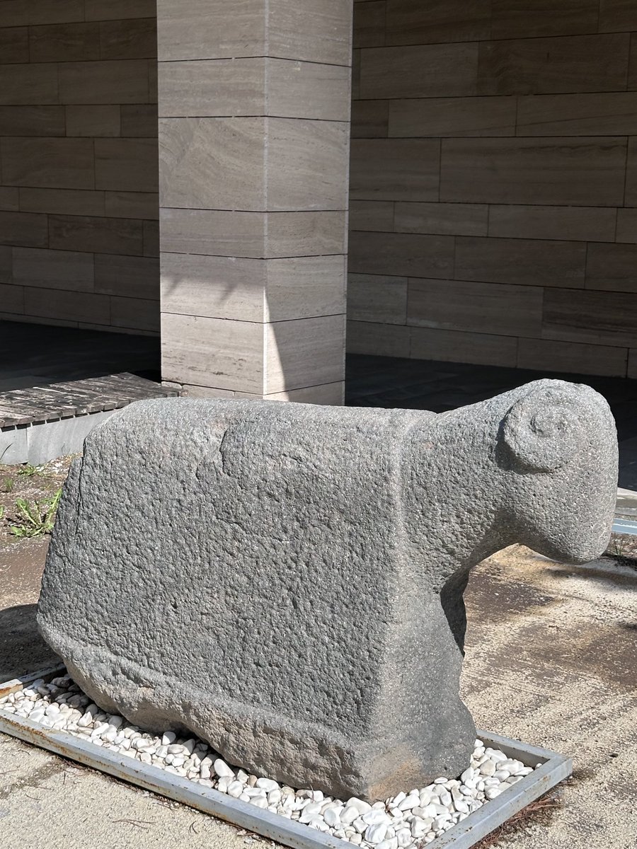 Prof.Ahmet Taşağıl tweet media