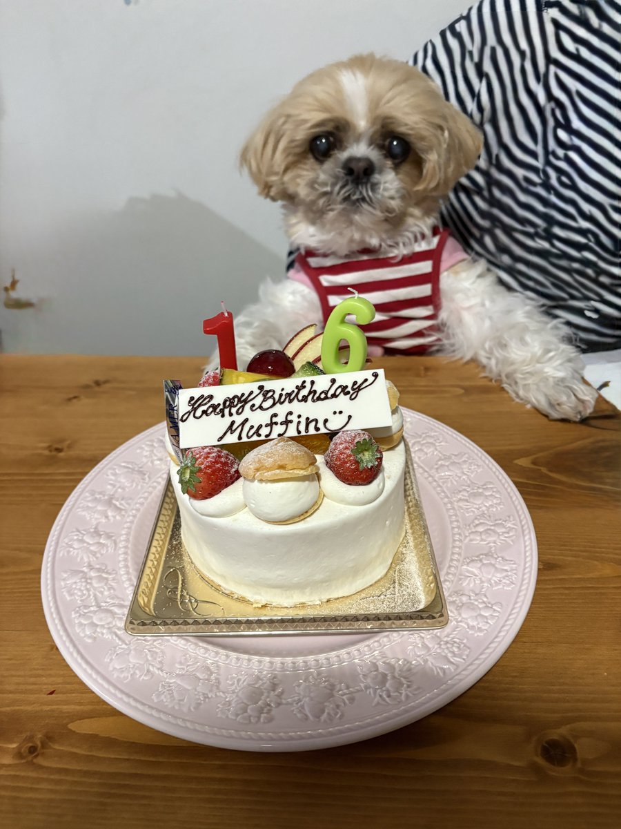 gorurasuku's tweet photo. 6日　16歳になりました
muffinおめでとう🎊 https://t.co/TbpLOPWZnR