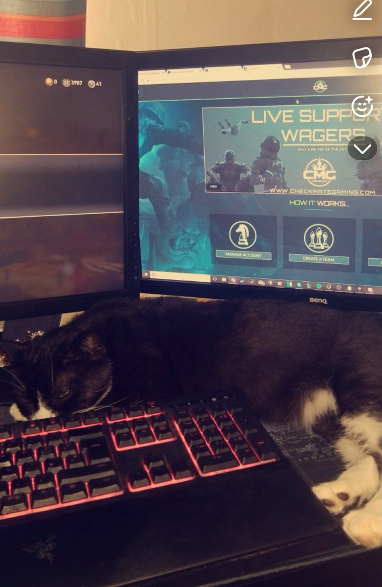 🇬🇧 Brett Rolo tweet media