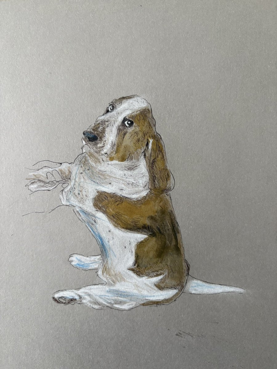 When your hooman asks you to dance and you look at the camera like you’re on the Office

Sketch of @jupiter_thebasset from Instagram