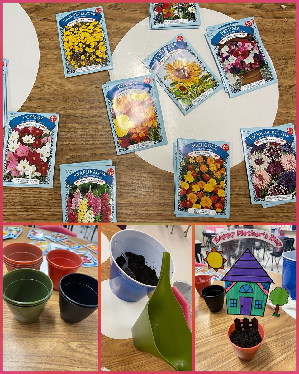 Evelyn Flores tweet media