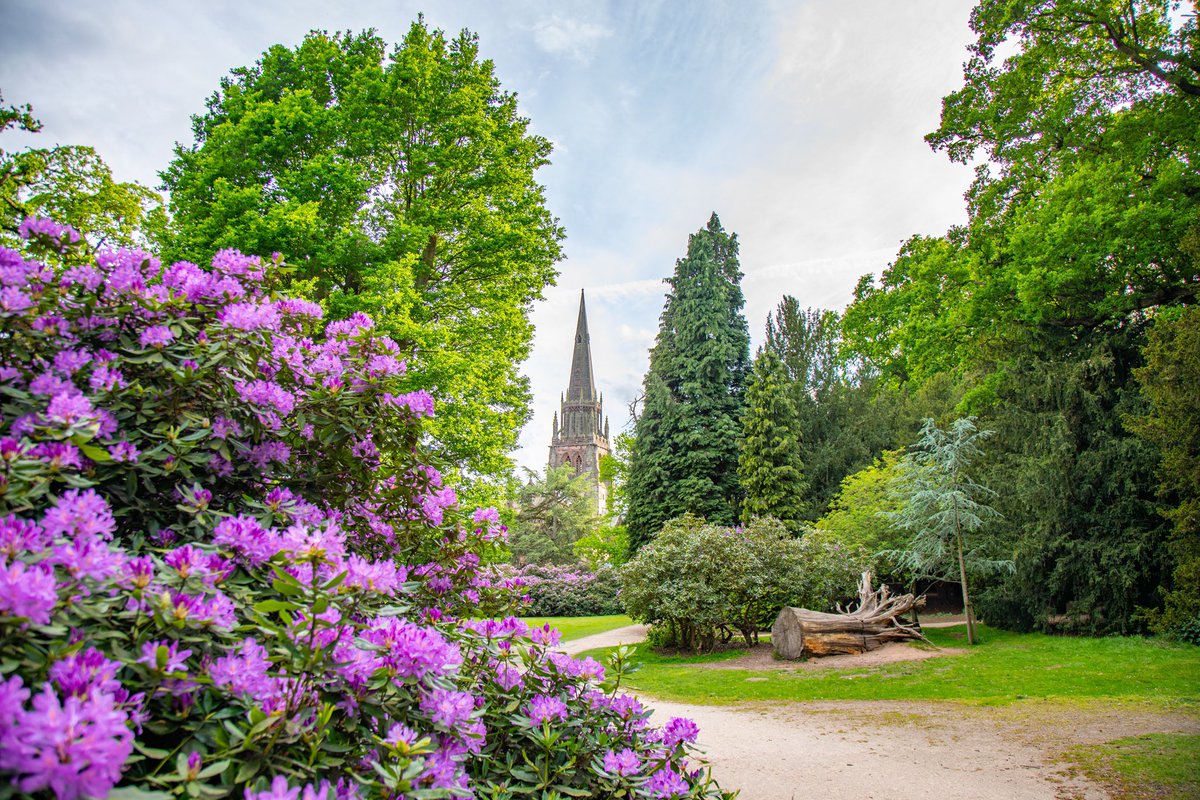 Steve Bradley ⚓️ (@steve1_9_6_2) on Twitter photo Suffering a little from post Op blues, is there a better place to walk it off than the pleasure grounds in <a href="/NTClumberPark/">Clumber Park, National Trust</a> <a href="/nationaltrust/">National Trust</a> beautiful surroundings and lovely weather <a href="/kerriegosneyTV/">Kerrie Gosney</a> Suffering a little from post Op blues, is there a better place to walk it off than the pleasure grounds in <a href="/NTClumberPark/">Clumber Park, National Trust</a> <a href="/nationaltrust/">National Trust</a> beautiful surroundings and lovely weather <a href="/kerriegosneyTV/">Kerrie Gosney</a>