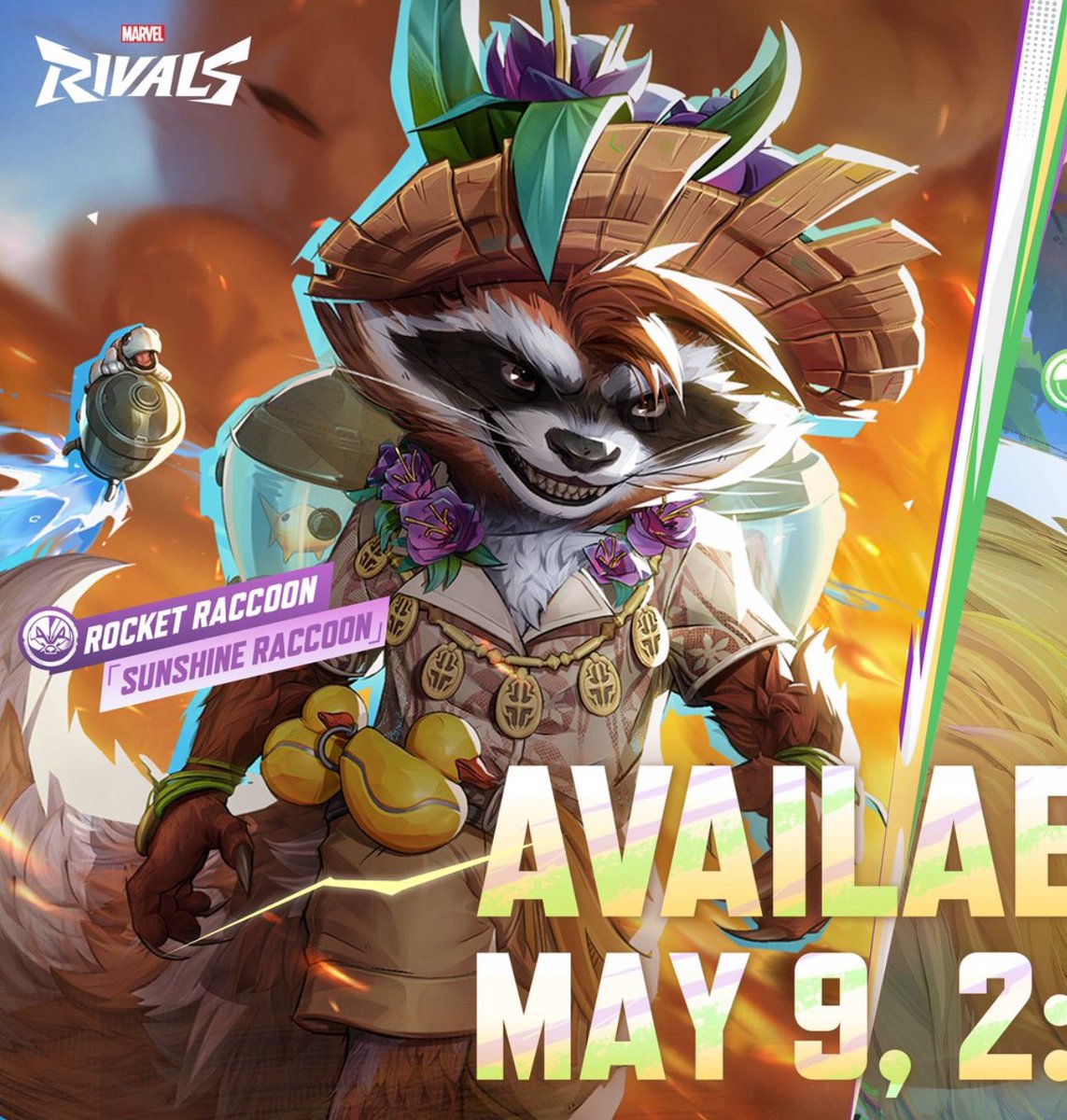 ROCKET 🚀🦝 tweet media