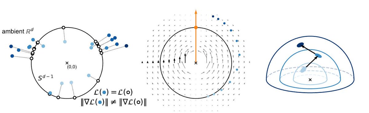 UvA AMLab (@amlabuva) on Twitter photo 📐 On the Importance of Embedding Norms in Self-Supervised Learning
by Andrew Draganov, <a href="/SharvVadgama/">Sharvaree Vadgama</a>, Sebastian Damrich, Jan Niklas Böhm, Lucas Maes, Dmitry Kobak, <a href="/erikjbekkers/">Erik Bekkers</a>
📜 arxiv.org/abs/2502.09252
🧵3 / 7 📐 On the Importance of Embedding Norms in Self-Supervised Learning
by Andrew Draganov, <a href="/SharvVadgama/">Sharvaree Vadgama</a>, Sebastian Damrich, Jan Niklas Böhm, Lucas Maes, Dmitry Kobak, <a href="/erikjbekkers/">Erik Bekkers</a>
📜 arxiv.org/abs/2502.09252
🧵3 / 7
