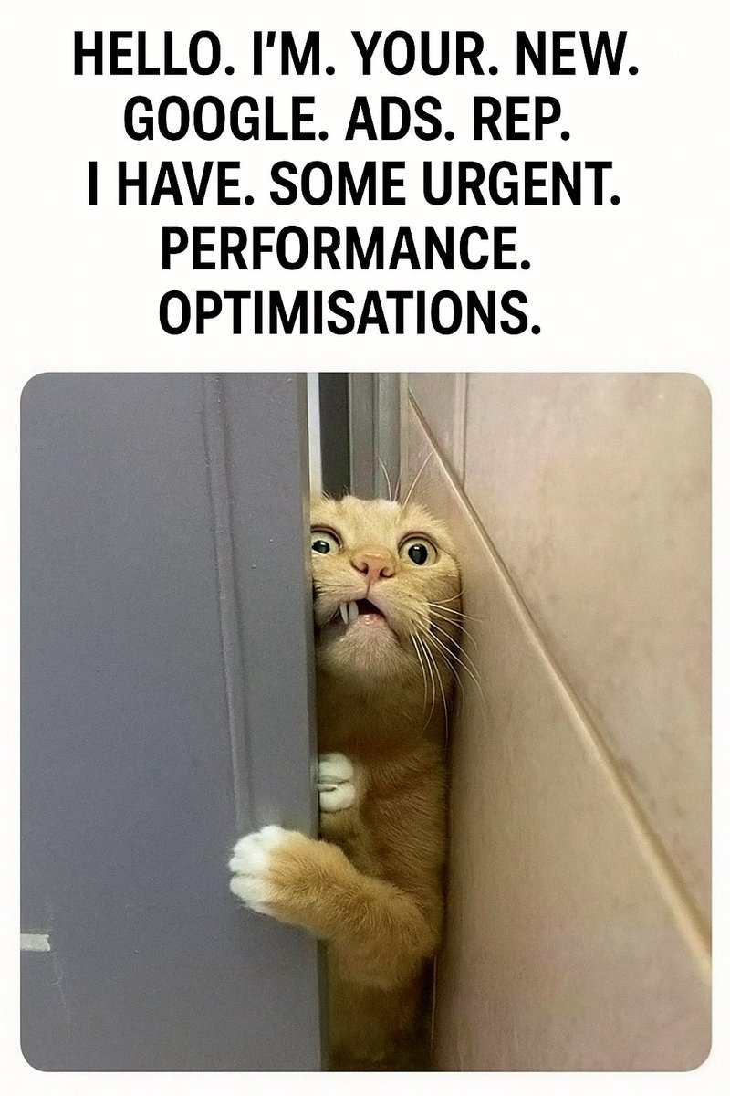 Tomasz Abbott-Wieczorek | $1B Google Ads Guy (@thetomaszaw) on Twitter photo 