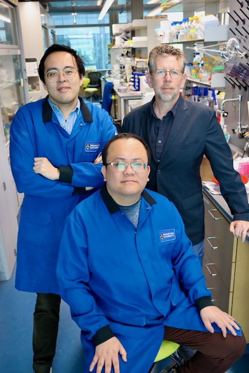 Princeton Chemistry (@princetonchem) on Twitter photo Congratulations <a href="/MuirLab/">The Muir Lab</a> on their groundbreaking method for protein editing recently out in <a href="/ScienceMagazine/">Science Magazine</a> and featured in <a href="/Nature/">nature</a>. Great work Yi, Nick, Xuanjia, Jeremy, Robert, and Tom!
Enjoy our story on the details behind the science: bit.ly/44W8MqQ Congratulations <a href="/MuirLab/">The Muir Lab</a> on their groundbreaking method for protein editing recently out in <a href="/ScienceMagazine/">Science Magazine</a> and featured in <a href="/Nature/">nature</a>. Great work Yi, Nick, Xuanjia, Jeremy, Robert, and Tom!
Enjoy our story on the details behind the science: bit.ly/44W8MqQ