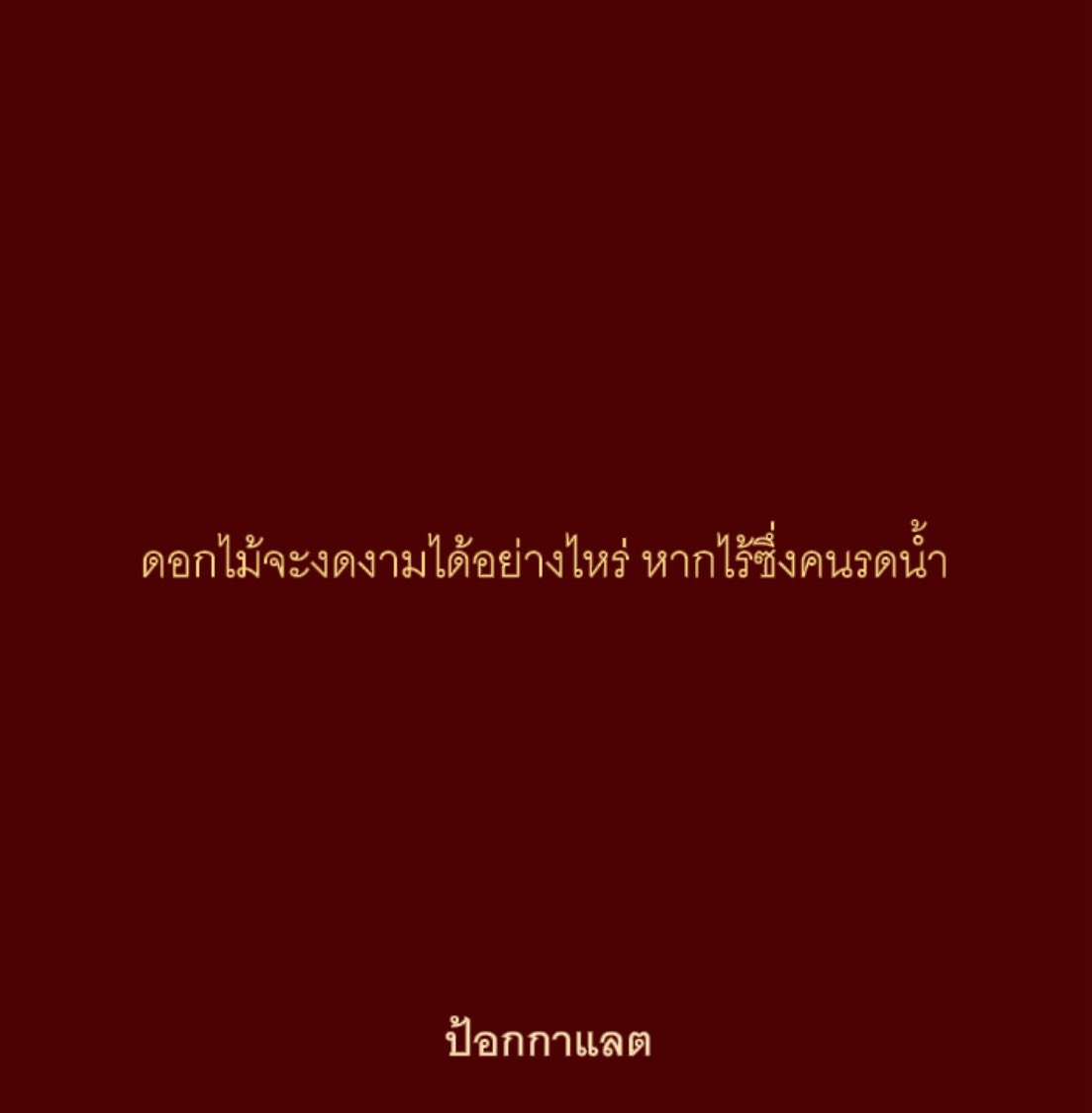 ป้อกกาแลต tweet media