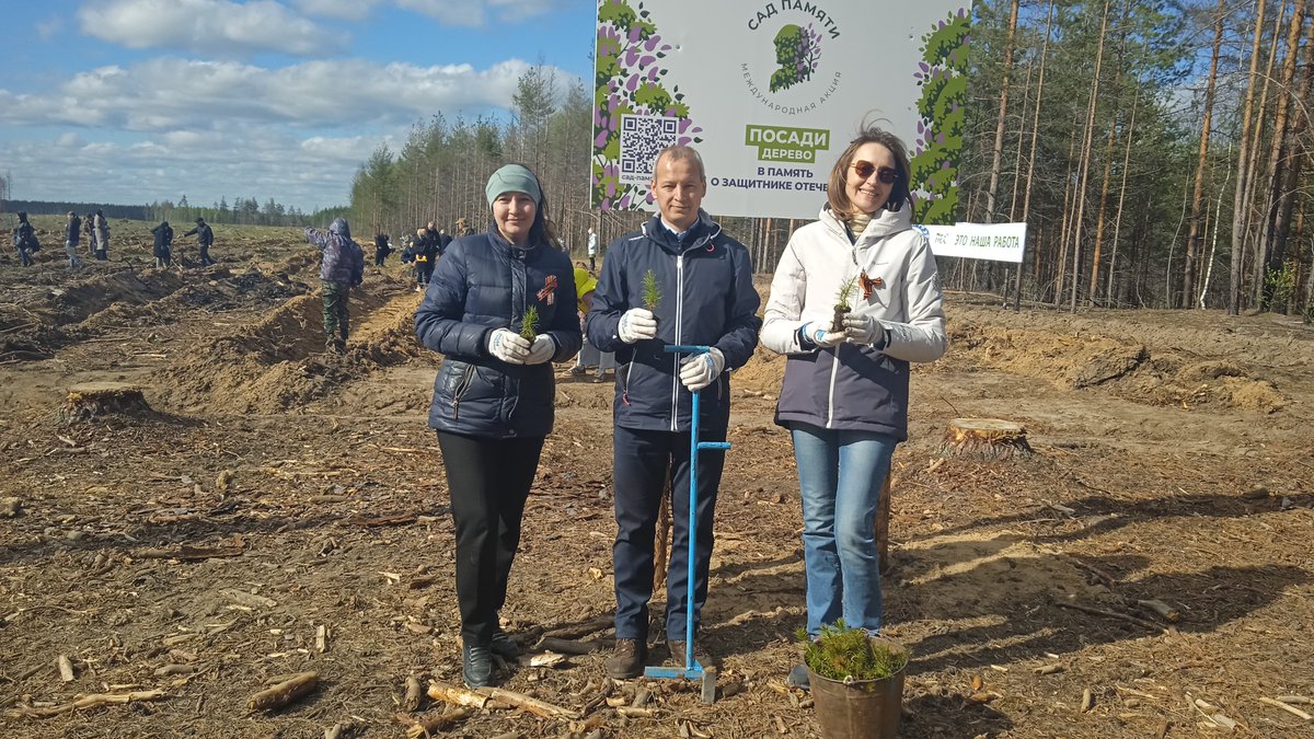 MID_Yoshkar_Ola's tweet photo. On the eve of #Victory80 in the Great Patriotic War  diplomats of the Representative Office of #MFA Russia in #YoshkarOla took part in planting pines on the territory of Kuyar Forestry of #MariEl within the international campaign #GardenOfMemory https://t.co/u0SEKwKkGm