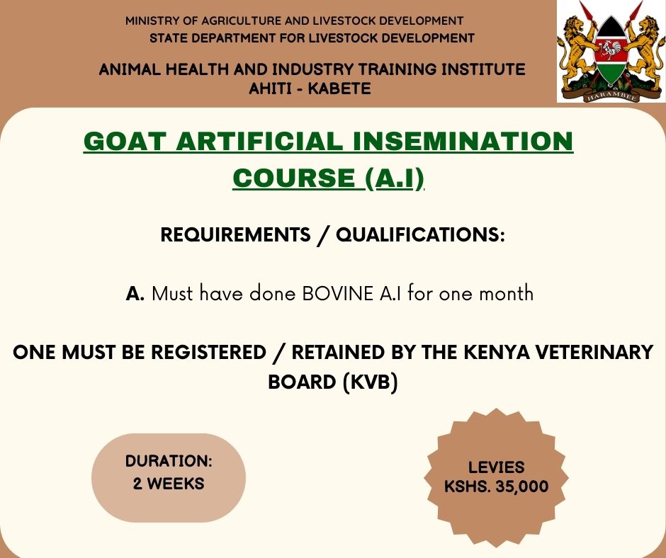 Goat A.I course, applications are on for MAY TO AUGUST INTAKE 2025. Interested parties, book your slot by paying a Bankers cheque addressed to - PS Livestock -.  Deliver the cheque to AHITI KABETE (accounts office) between 9am to 4pm (Mon - Fri). #livestocktraining