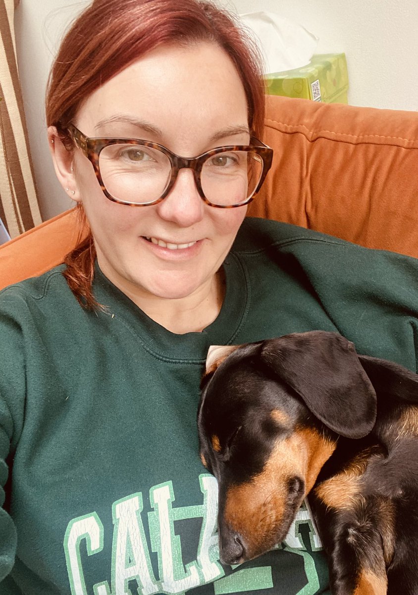 RheaH2018's tweet photo. It’s tiring being cute all day 🐶🧡 #dachshund #sausagedog #furryfriend #companion #Cuddles #dog https://t.co/zVZAtbd4Z1