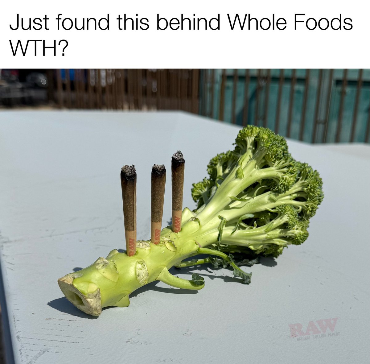 New meaning of “smoking broccoli”😂