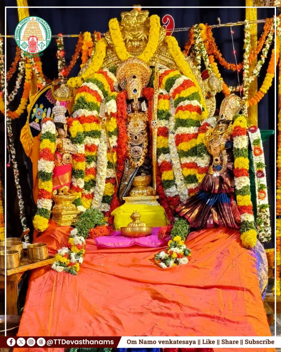 TTDevasthanams's tweet photo. Sri Sita Jayanti celebrated with devotional grandeur at Vontimitta Sri Kodandarama Swamy Temple! Highlights included Tirumanjanam, Vasantika Puja &amp; Sahasranamarchana with divine floral offerings. #SriSitaJayanti #Vontimitta #KodandaramaSwamy #TTD https://t.co/37dsbFKGea