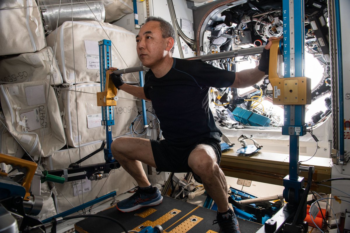 NASA's Johnson Space Center (@nasa_johnson) on Twitter photo No leg days skipped in space! 🏋️
#DYK astronauts exercise for about 1.5 hours a day aboard the <a href="/Space_Station/">International Space Station</a>? They are protecting themselves from bone and muscle loss that could result from microgravity. Learn more: go.nasa.gov/3YZCOWP No leg days skipped in space! 🏋️
#DYK astronauts exercise for about 1.5 hours a day aboard the <a href="/Space_Station/">International Space Station</a>? They are protecting themselves from bone and muscle loss that could result from microgravity. Learn more: go.nasa.gov/3YZCOWP